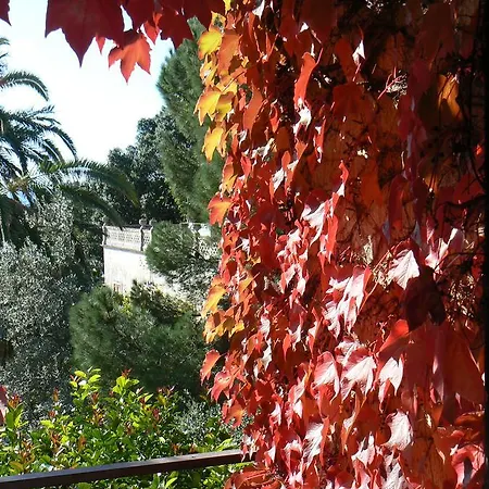 Bed & Breakfast La Cittadella Univeristaria Policlinico *